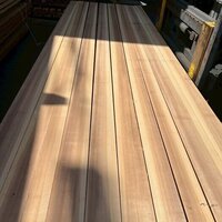 吉野杉（ヨシノスギ）　NO.1664