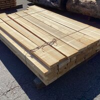 檜（ヒノキ）　NO.48