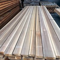 吉野杉（ヨシノスギ）　NO.1676