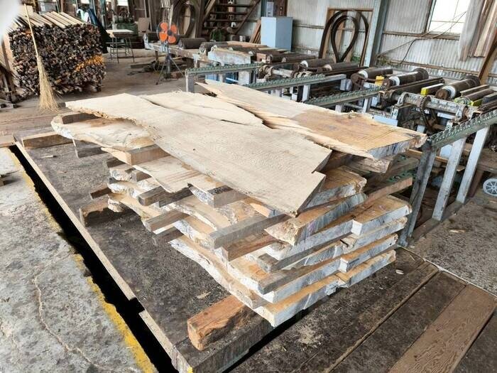 塩地（シオジ）　無垢材