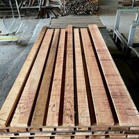 米杉（ベイスギ）　NO.3957