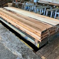 米杉（ベイスギ）　NO.93-2