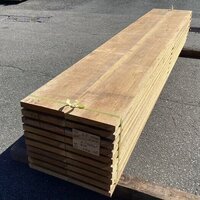 杉（スギ）　NO.332