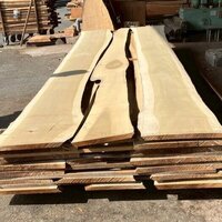 朴（ホオ）　NO.140