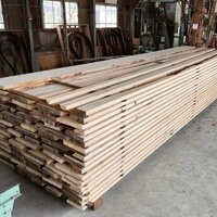 バルサム　NO.4883