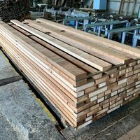 米杉（ベイスギ）　NO.3849