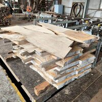 塩地（シオジ）　NO.152