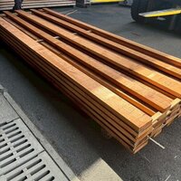 米杉（ベイスギ）　NO.3948