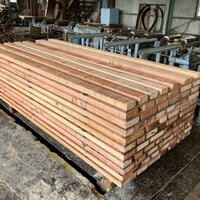 米杉（ベイスギ）　NO.3860