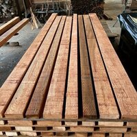 米杉（ベイスギ）　NO.3877