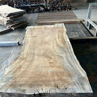 楠（クス）　NO.8019