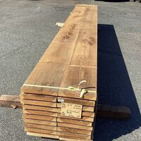 杉（スギ）　NO.386