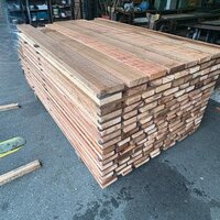 米杉（ベイスギ）　NO.3958