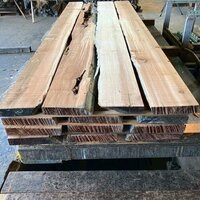 米杉（ベイスギ）　NO.93-2