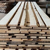 バルサム　NO.4554