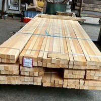 檜（ヒノキ）　NO.37