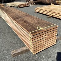 杉（スギ）　NO.314