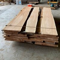 栴檀（センダン）　NO.3485