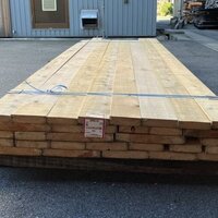 檜（ヒノキ）　NO.2