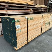 レッドオーク　NO.380