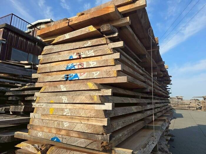 サペリ　無垢材