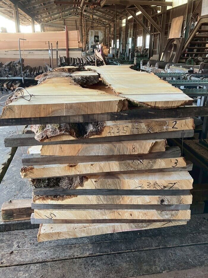 栃（トチ）　無垢材