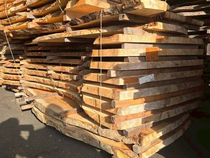 栃（トチ）　無垢材