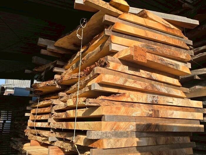 栃（トチ）　無垢材