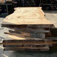 楠（クス）　NO.6003