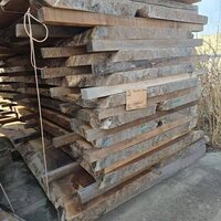 ウォールナット　NO.532