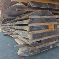 ウォールナット　NO.588