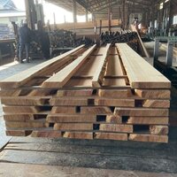 杉（スギ）　NO.5129