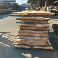 栃（トチ）　NO.K