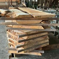 栃（トチ）　NO.O