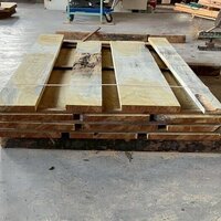 桑（クワ）　NO.4150