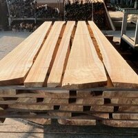 杉（スギ）　NO.5107