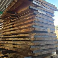 栃（トチ）　NO.K