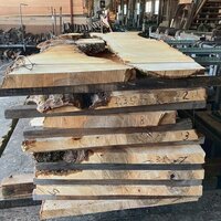 栃（トチ）　NO.235