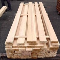 檜（ヒノキ）　NO.540