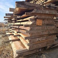 ウォールナット　NO.534