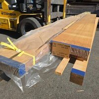 米檜葉（ベイヒバ）　NO.380