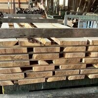 杉（スギ）　NO.5105