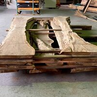 栗（クリ）　NO.6069