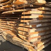 栃（トチ）　NO.262