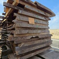 ウォールナット　NO.533