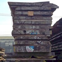 アサメラ　NO.563