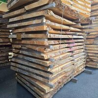 栃（トチ）　NO.H