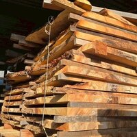 栃（トチ）　NO.212-1