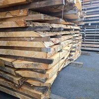 栃（トチ）　NO.246