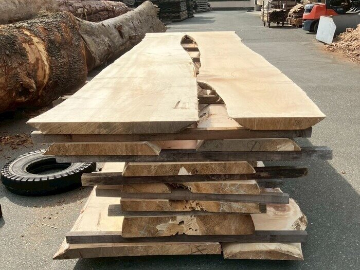 銀杏（イチョウ）　無垢材